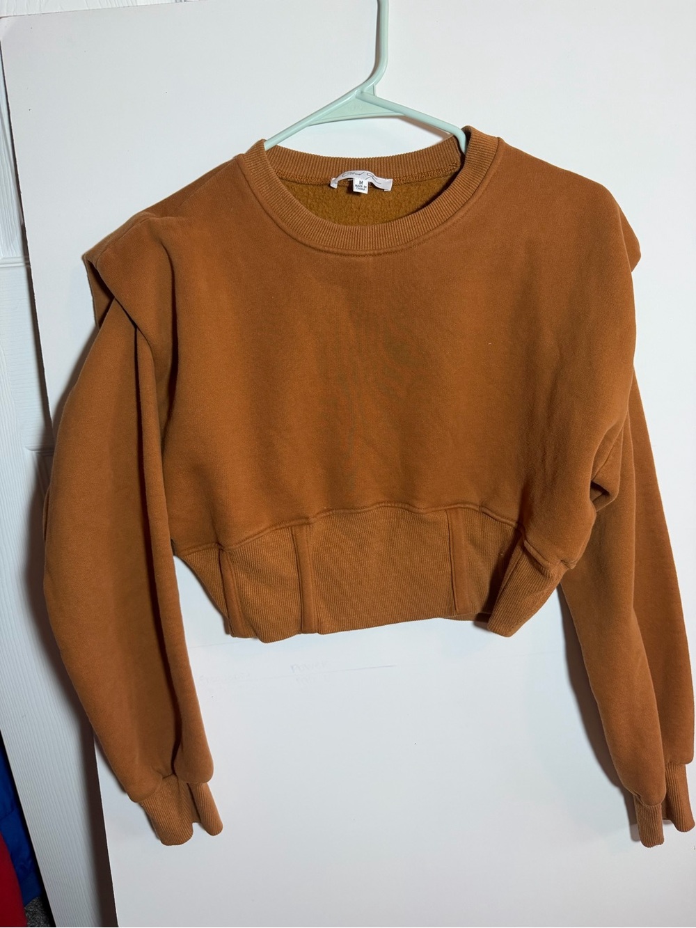 Cropped Crewneck Sweatshirt in Rust Brown